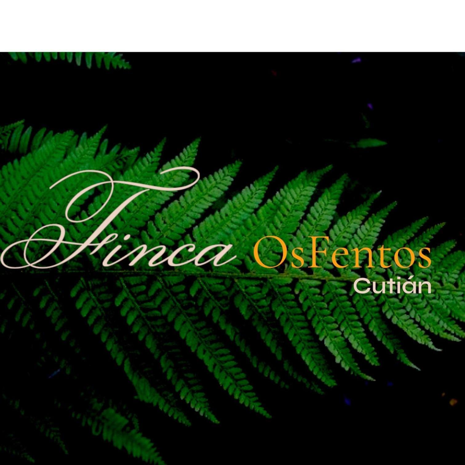 مبيت وإفطار بونتيفيذرا Os Fentos المظهر الخارجي الصورة
